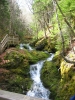 PICTURES/Fundy National Park - Dickson Falls/t_Cannon Little Falls1.jpg